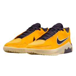 Кроссовки баскетбольные NIKE LEBRON WITNESS IX HQ8034-700