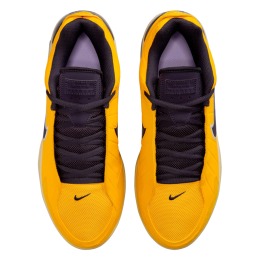 Кроссовки баскетбольные NIKE LEBRON WITNESS IX HQ8034-700