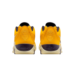 Кроссовки баскетбольные NIKE LEBRON WITNESS IX HQ8034-700