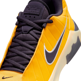 Кроссовки баскетбольные NIKE LEBRON WITNESS IX HQ8034-700