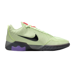 Кроссовки баскетбольные NIKE LEBRON WITNESS IX HQ8034-701