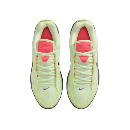 Кроссовки баскетбольные NIKE LEBRON WITNESS IX HQ8034-701