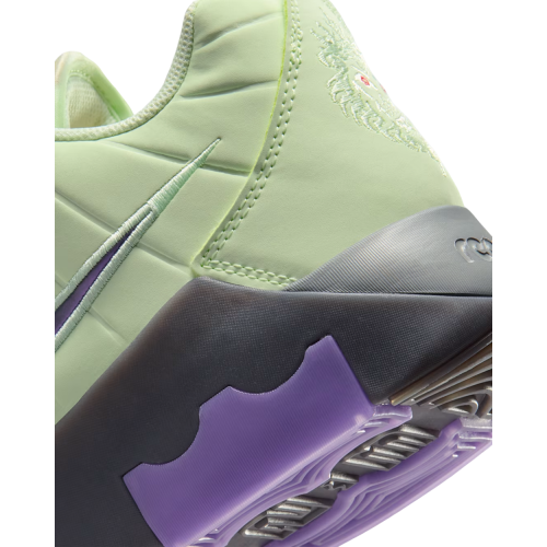 Кроссовки баскетбольные NIKE LEBRON WITNESS IX HQ8034-701