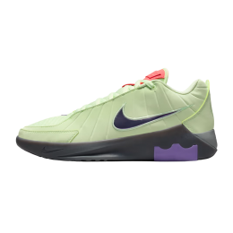 Кроссовки баскетбольные NIKE LEBRON WITNESS IX HQ8034-701