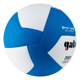 Профессиональный волейбольный мяч GALA Pro-Line 12 BV5595S