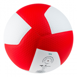Профессиональный волейбольный мяч GALA Pro-Line 12 BV5595S