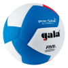 Профессиональный волейбольный мяч GALA Pro-Line 12 BV5595S