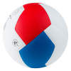Профессиональный волейбольный мяч GALA Pro-Line 12 BV5595S