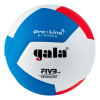 Профессиональный волейбольный мяч GALA Pro-Line 12 BV5595S