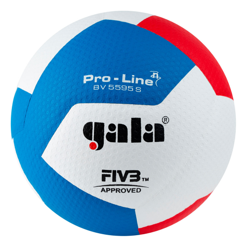 Профессиональный волейбольный мяч GALA Pro-Line 12 BV5595S