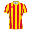 Футболка игровая ERREA STRIP