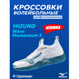 Кроссовки волейбольные MIZUNO WAVE MOMENTUM 3 V1GA2312 21
