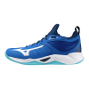 Кроссовки волейбольные MIZUNO WAVE DIMENSION V1GA224076