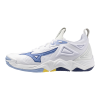 Кроссовки волейбольные MIZUNO WAVE MOMENTUM 3 V1GA231297