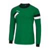 Толстовка тренировочная ERREA FORWARD TOP DS0A0L01070TOP