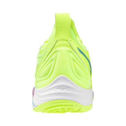 Кроссовки волейбольные MIZUNO WAVE MOMENTUM 3 V1GA231286