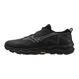 Кроссовки беговые мужские Mizuno Wave Daichi 9 GTX J1GJ255601