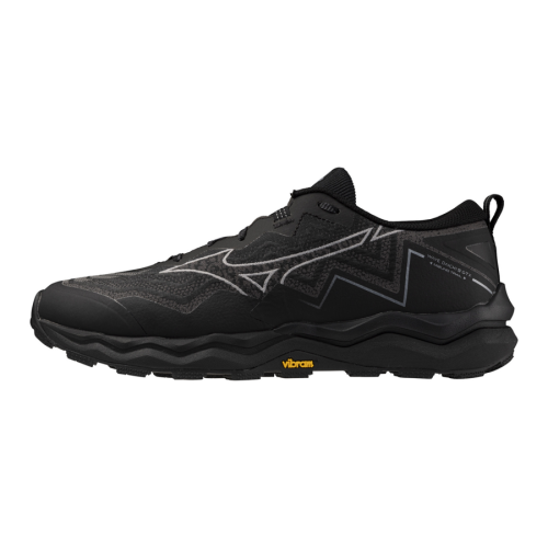 Кроссовки беговые мужские Mizuno Wave Daichi 9 GTX J1GJ255601