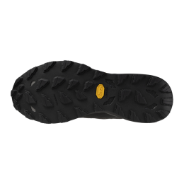 Кроссовки беговые мужские Mizuno Wave Daichi 9 GTX J1GJ255601