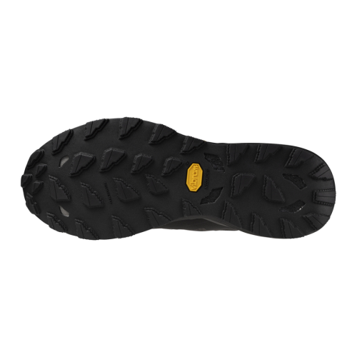 Кроссовки беговые мужские Mizuno Wave Daichi 9 GTX J1GJ255601