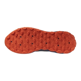 Кроссовки беговые мужские Mizuno Wave Ibuki 4 J1GJ227311