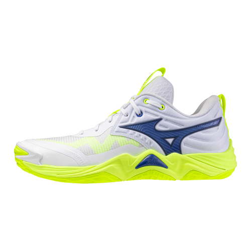 Кроссовки волейбольные MIZUNO WAVE MOMENTUM ELITE V1GA251239
