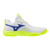 Кроссовки волейбольные MIZUNO WAVE MOMENTUM ELITE V1GA251239