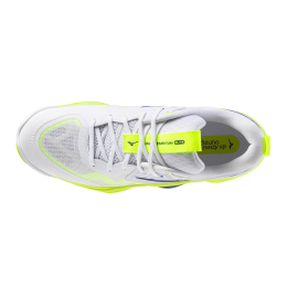Кроссовки волейбольные MIZUNO WAVE MOMENTUM ELITE V1GA251239