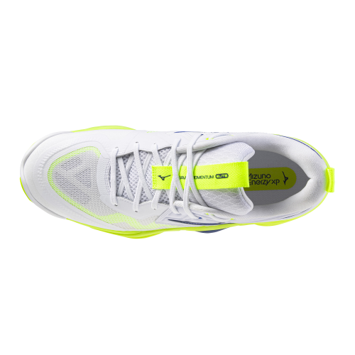 Кроссовки волейбольные MIZUNO WAVE MOMENTUM ELITE V1GA251239