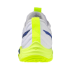 Кроссовки волейбольные MIZUNO WAVE MOMENTUM ELITE V1GA251239