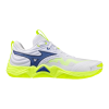 Кроссовки волейбольные MIZUNO WAVE MOMENTUM ELITE V1GA251239
