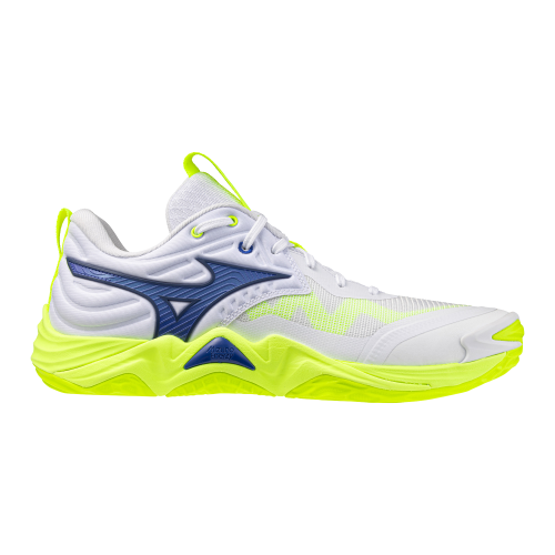 Кроссовки волейбольные MIZUNO WAVE MOMENTUM ELITE V1GA251239