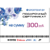 Подарочный сертификат SPORTEKIP.BY - 300 BYN