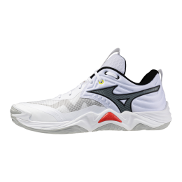 Кроссовки волейбольные MIZUNO WAVE MOMENTUM ELITE V1GA251259