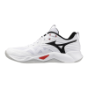Кроссовки волейбольные MIZUNO WAVE MOMENTUM PRO V1GA254059