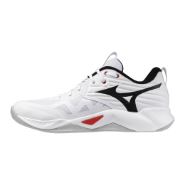 Кроссовки волейбольные MIZUNO WAVE MOMENTUM PRO V1GA254059