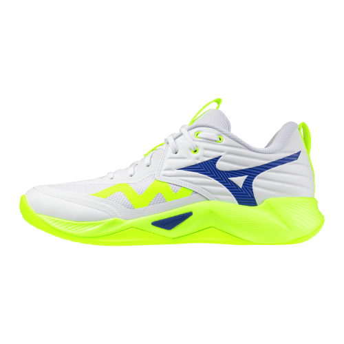 Кроссовки волейбольные MIZUNO WAVE MOMENTUM PRO V1GA254039