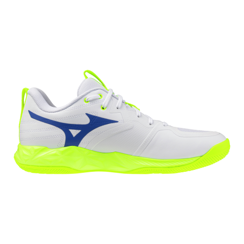 Кроссовки волейбольные MIZUNO WAVE MOMENTUM PRO V1GA254039