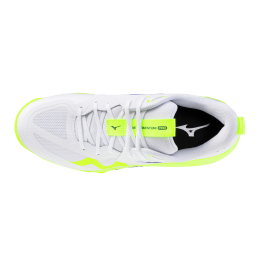 Кроссовки волейбольные MIZUNO WAVE MOMENTUM PRO V1GA254039