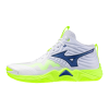 Кроссовки волейбольные MIZUNO WAVE MOMENTUM ELITE MID V1GA251739