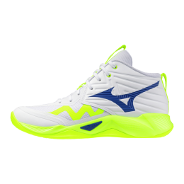 Кроссовки волейбольные MIZUNO WAVE MOMENTUM PRO MID V1GA254539