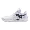 Кроссовки волейбольные MIZUNO WAVE MOMENTUM ELITE V1GA251283