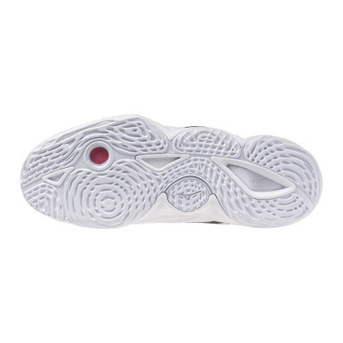 Кроссовки волейбольные MIZUNO WAVE MOMENTUM ELITE V1GA251283