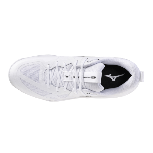 Кроссовки волейбольные MIZUNO WAVE MOMENTUM PRO V1GA254083