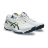 Волейбольные кроссовки ASICS BEYOND FF MT 2 1071A128-100