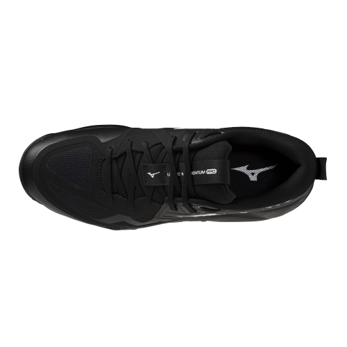Кроссовки волейбольные MIZUNO WAVE MOMENTUM PRO V1GA254082
