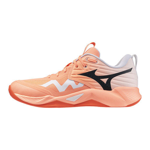 Кроссовки волейбольные MIZUNO WAVE MOMENTUM PRO V1GA254080