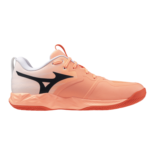 Кроссовки волейбольные MIZUNO WAVE MOMENTUM PRO V1GA254080