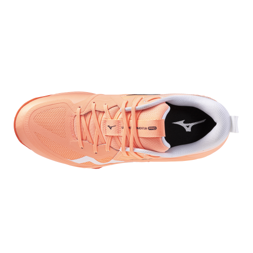 Кроссовки волейбольные MIZUNO WAVE MOMENTUM PRO V1GA254080