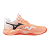 Кроссовки волейбольные MIZUNO WAVE MOMENTUM PRO V1GA254080